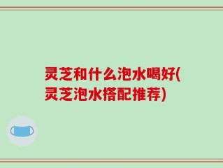 灵芝和什么泡水喝好(灵芝泡水搭配推荐)