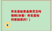 养生壶能煮桑黄灵芝吗视频(快看！养生壶如何煮制草药？)
