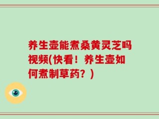 养生壶能煮桑黄灵芝吗视频(快看！养生壶如何煮制草药？)