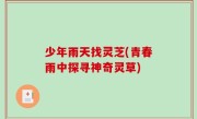少年雨天找灵芝(青春雨中探寻神奇灵草)