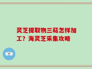 灵芝提取物三萜怎样加工？海灵芝采集攻略
