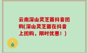 云南深山灵芝菌抖音团购(深山灵芝菌在抖音上团购，限时优惠！)