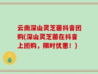 云南深山灵芝菌抖音团购(深山灵芝菌在抖音上团购，限时优惠！)