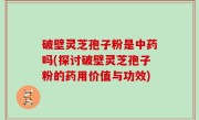 破壁灵芝孢子粉是中药吗(探讨破壁灵芝孢子粉的药用价值与功效)