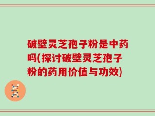 破壁灵芝孢子粉是中药吗(探讨破壁灵芝孢子粉的药用价值与功效)