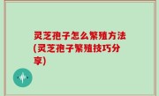 灵芝孢子怎么繁殖方法(灵芝孢子繁殖技巧分享)