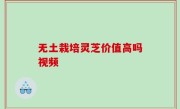 无土栽培灵芝价值高吗视频