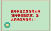 孢子粉比灵芝作用大吗(孢子粉超越灵芝：强大的功效与作用！)