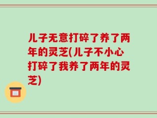 儿子无意打碎了养了两年的灵芝(儿子不小心打碎了我养了两年的灵芝)