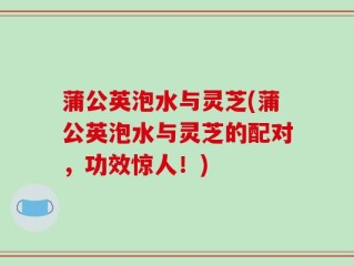 蒲公英泡水与灵芝(蒲公英泡水与灵芝的配对，功效惊人！)