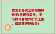 要怎么养灵芝蟹呢视频教学(用视频教学，学习如何合理养护灵芝蟹，保证获得好收益)