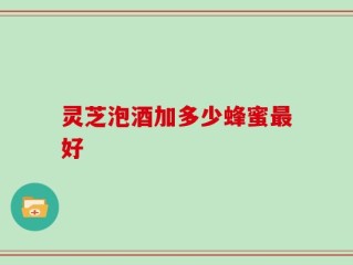 灵芝泡酒加多少蜂蜜最好