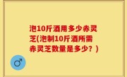 泡10斤酒用多少赤灵芝(泡制10斤酒所需赤灵芝数量是多少？)