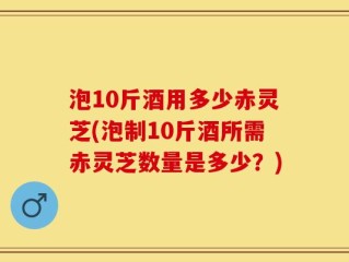泡10斤酒用多少赤灵芝(泡制10斤酒所需赤灵芝数量是多少？)