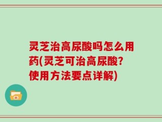 灵芝治高尿酸吗怎么用药(灵芝可治高尿酸？使用方法要点详解)