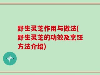 野生灵芝作用与做法(野生灵芝的功效及烹饪方法介绍)