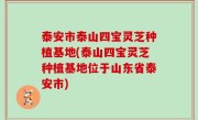 泰安市泰山四宝灵芝种植基地(泰山四宝灵芝种植基地位于山东省泰安市)