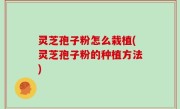 灵芝孢子粉怎么栽植(灵芝孢子粉的种植方法)
