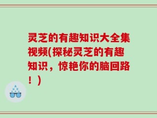 灵芝的有趣知识大全集视频(探秘灵芝的有趣知识，惊艳你的脑回路！)