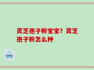 灵芝孢子粉宝宝？灵芝孢子粉怎么种