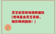 灵芝收获现场视频播放(现场直击灵芝采摘，精彩瞬间回放！)