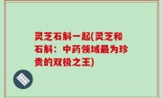 灵芝石斛一起(灵芝和石斛：中药领域最为珍贵的双极之王)