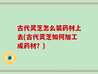 古代灵芝怎么装药材上去(古代灵芝如何加工成药材？)