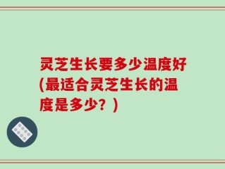灵芝生长要多少温度好(最适合灵芝生长的温度是多少？)