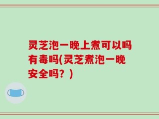 灵芝泡一晚上煮可以吗有毒吗(灵芝煮泡一晚安全吗？)