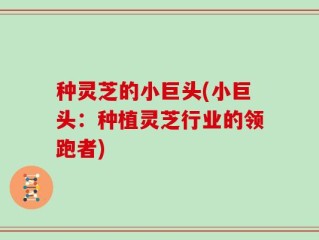 种灵芝的小巨头(小巨头：种植灵芝行业的领跑者)