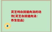灵芝炖白鸽猪肉汤的功效(灵芝白鸽猪肉汤：养生佳品)