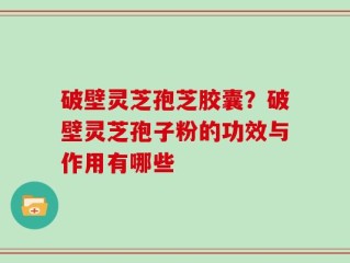 破壁灵芝孢芝胶囊？破壁灵芝孢子粉的功效与作用有哪些