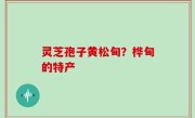 灵芝孢子黄松甸？桦甸的特产