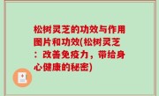 松树灵芝的功效与作用图片和功效(松树灵芝：改善免疫力，带给身心健康的秘密)