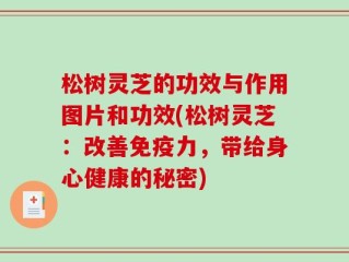 松树灵芝的功效与作用图片和功效(松树灵芝：改善免疫力，带给身心健康的秘密)