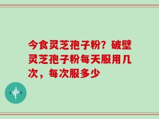 今食灵芝孢子粉？破壁灵芝孢子粉每天服用几次，每次服多少
