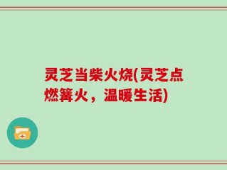 灵芝当柴火烧(灵芝点燃篝火，温暖生活)