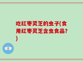 吃红枣灵芝的虫子(食用红枣灵芝含虫食品？)