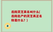 岳阳灵芝真名叫什么(岳阳出产的灵芝真正名称是什么？)