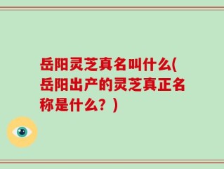 岳阳灵芝真名叫什么(岳阳出产的灵芝真正名称是什么？)