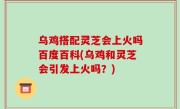 乌鸡搭配灵芝会上火吗百度百科(乌鸡和灵芝会引发上火吗？)