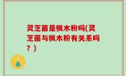 灵芝菌是枫木粉吗(灵芝菌与枫木粉有关系吗？)