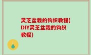 灵芝盆栽的钩织教程(DIY灵芝盆栽的钩织教程)