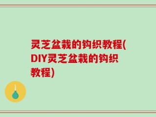 灵芝盆栽的钩织教程(DIY灵芝盆栽的钩织教程)