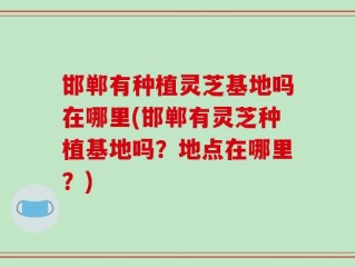 邯郸有种植灵芝基地吗在哪里(邯郸有灵芝种植基地吗？地点在哪里？)
