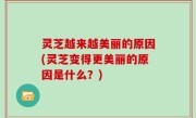 灵芝越来越美丽的原因(灵芝变得更美丽的原因是什么？)