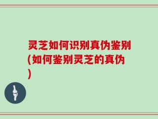 灵芝如何识别真伪鉴别(如何鉴别灵芝的真伪)