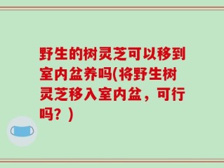 野生的树灵芝可以移到室内盆养吗(将野生树灵芝移入室内盆，可行吗？)