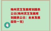 梅州灵芝发展规划图表公示(梅州灵芝发展规划图表公示：未来发展趋势一览)