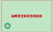 仙牌灵芝和灵芝的区别